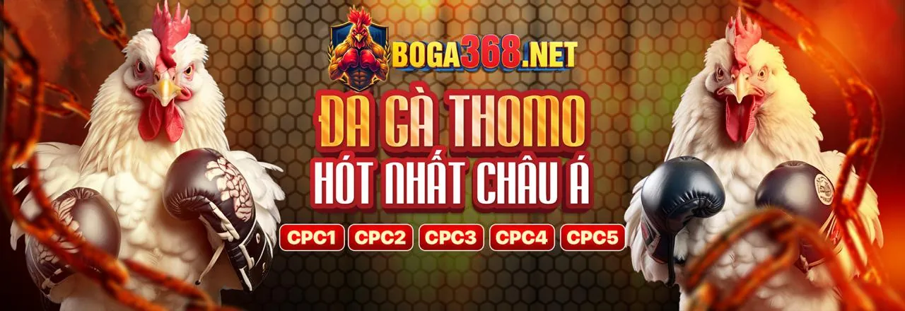Mã hóa dữ liệu Manbet